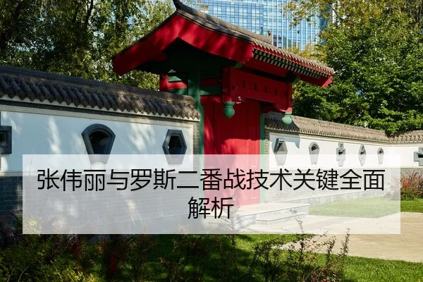 zhang-wei-li-yu-luo-si-er-fan-zhan-ji-shu-guan-jian-quan-mian-jie-xi-2-339.jpg